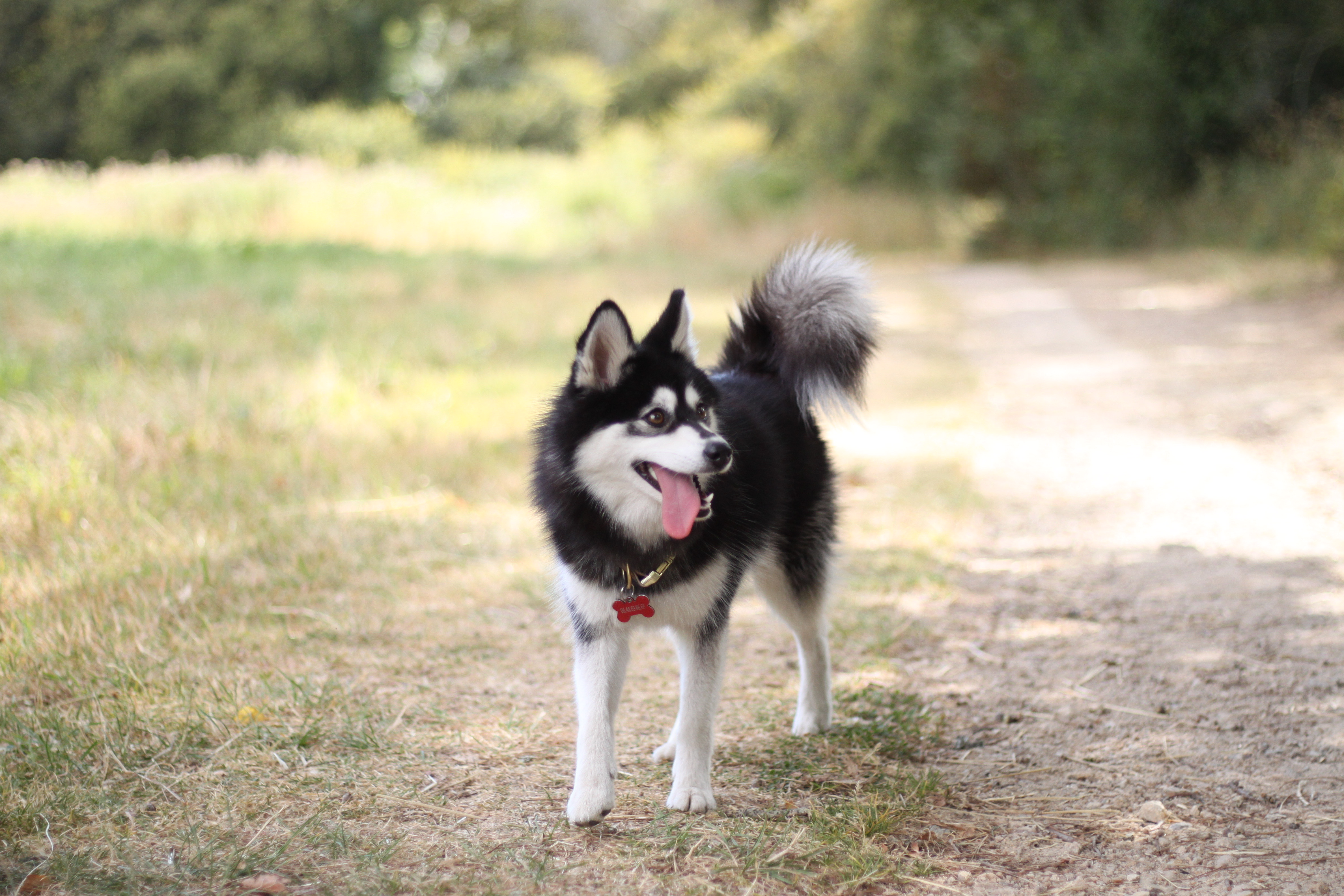 Wann de la maison des petits princes